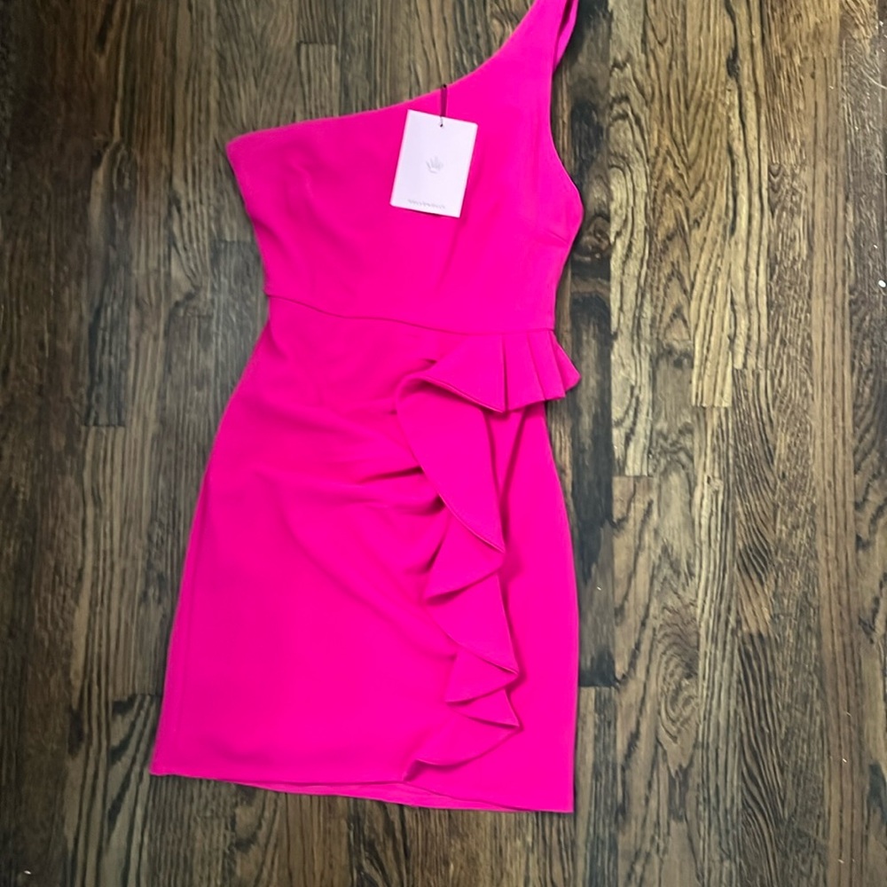Brand new never worn Hello Molly dress